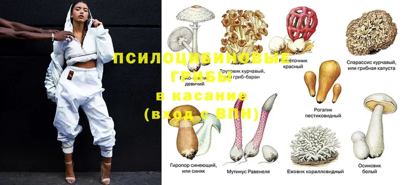 Галлюциногенные грибы ЛСД  сколько стоит  Железногорск 