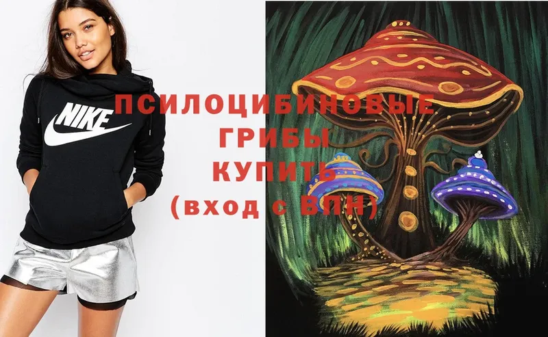 Галлюциногенные грибы Psilocybe Железногорск